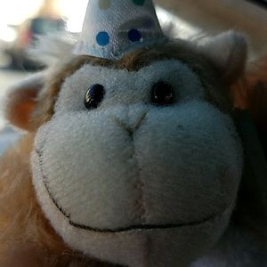 Meet your Posher, Ramon